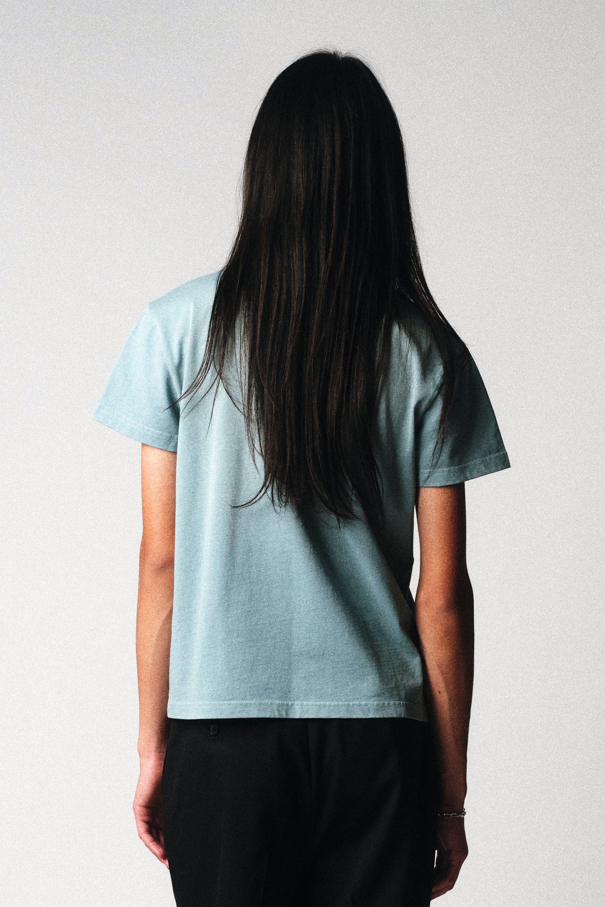 Sunfaded Teal