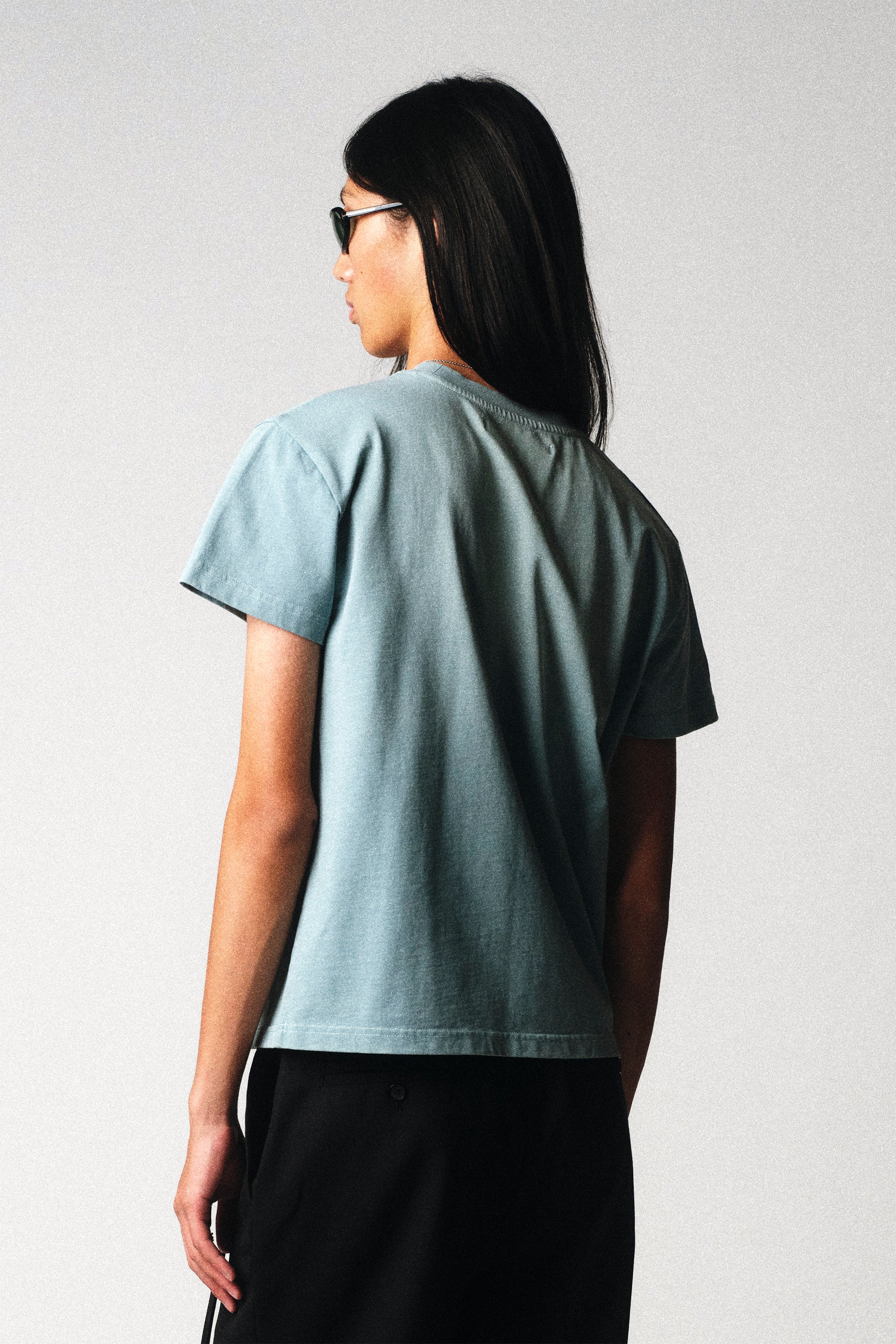 Sunfaded Teal