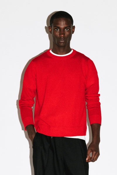 Hauser 90s Fit Crewneck Sweater | Red – California Arts